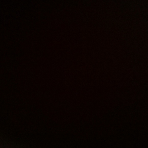 Meet your Posher, Jude - Picture 1 of 1